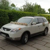 اجاره ماشین عروس|خدمات پذیرایی، مراسم|تهران, ایران|دیوار