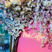 عکاسی در فضای باز