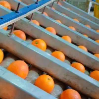 دستگاه نایلون پیچ مرکبات 8لاین|ماشین‌آلات صنعتی|قائم‌شهر, |دیوار