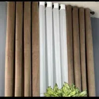 دستک پرده مخمل کالیفرنیا