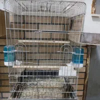 قفس ۱۰۳۳|لوازم جانبی حیوانات|کرج, فاز ۱ مهرشهر|دیوار