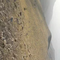 معدن مخلوط کوهی