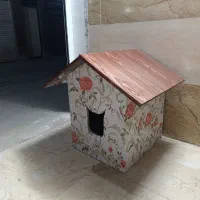 کادو بخر برای سگ یا گربه خوشکلتون