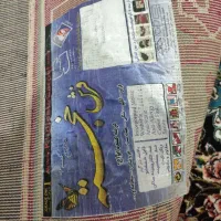 گلیم فرش|گلیم، جاجیم، گبه|بروجرد, |دیوار