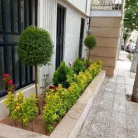 خدمات باغبانی تعویض خاک گلدون کود 30٪در محل سمپاشی|خدمات باغبانی و درختکاری|تهران, سعادتآباد|دیوار