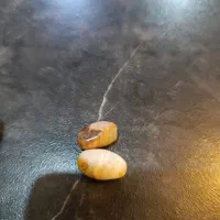 مهره برد قدیمی