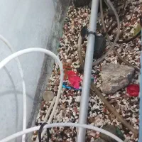 اکواریوم