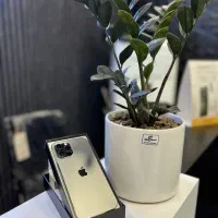 iphone 12 pro max 256 zaa از دم قسط و نقدی|موبایل|کرج, مهرویلا جنوبی|دیوار