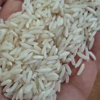 برنج هاشمی اعلا