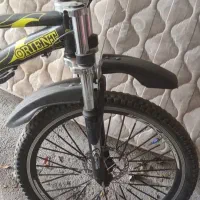 دوچرخه|دوچرخه، اسکیت، اسکوتر|قروه, |دیوار