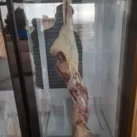 گوش تازه کشتار روز