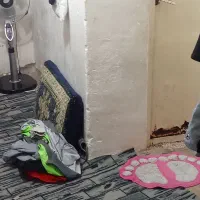 فروش خانه در تربت حیدریه نزدیک شهر دامسک|فروش خانه و ویلا|تربت‌حیدریه, بالا ولایت|دیوار