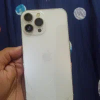 13پرومکس