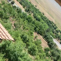 باغ میوه،قطعات500و200متری،باسندمعتبرنصف قیمت نقد