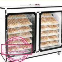 تولید انواع جوجه با بهترین دستگاه جوجه کشی|حیوانات مزرعه|تنکابن, |دیوار