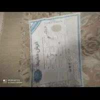 فرش۹متری مشهد درحدنو|فرش|تهران, نبی اکرم|دیوار