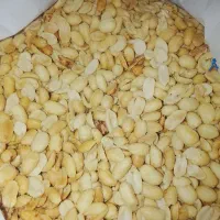 مغزتخمه و بادام زمینی|خوردنی و آشامیدنی|تهران, جردن|دیوار