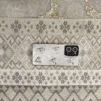 شیامی پوکوx5pro5G