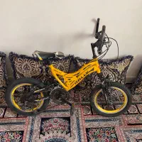 دوچرخه رالی