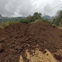 فروش کود ، خاک ، خاک برگ ،پوست بادام ، پوست برنج|خدمات باغبانی و درختکاری|رامسر, |دیوار