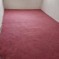 موکت|موکت|زاهدان, |دیوار