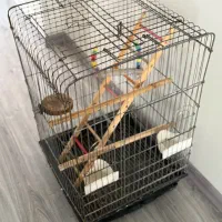 قفس شاه طوطی و کاسکو