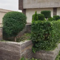 علف تراشی هرس وسمپاشی قطع درخت|خدمات باغبانی و درختکاری|خرمآباد (تنکابن), |دیوار