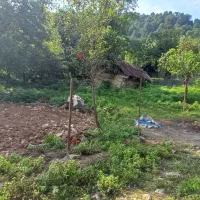 ۵۰۰متر زمین،جاده زیبای ماسوله