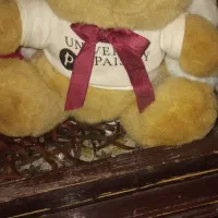 عروسک ها نو نو