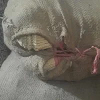 جاروزابلی فروشی