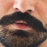 بلیط کنسرت ریش