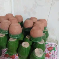 جاماستی