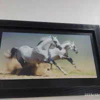 تابلو|تابلو، نقاشی، عکس|سیرجان, |دیوار