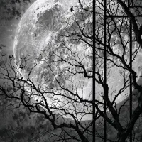 تابلو ماه 120