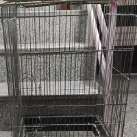 قفس پرنده