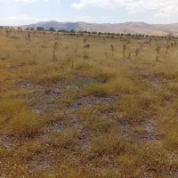 زمین دیم بناب مرند