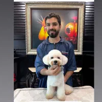 آموزش آرایشگری حیوانات/ آرایشگر حیوانات|خدمات آموزشی|کرج, اتحاد|دیوار