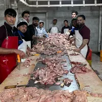 چند نیرو خانوم واقا جهت کار در سالن مرغ نیازمندیم|استخدام خدمات فروشگاه و رستوران|فردیس, |دیوار