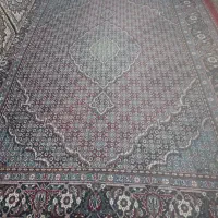 فرش|فرش|صالح آباد, |دیوار