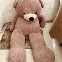 خرس بزرگ نو نو|اسباب‌‌بازی|یزد, |دیوار