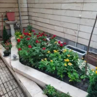 گل کاری وباغبانی هرس کاری وپابیل کردن|خدمات باغبانی و درختکاری|قم, بلوار امین و ساحلی|دیوار