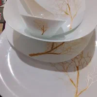 سرویس آرکوپال