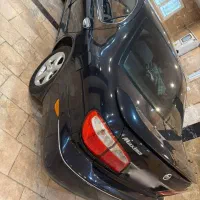 ماکسیما 81