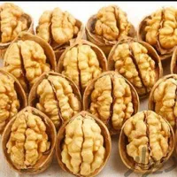 گردو خشک امسالی ایرانی درجه یک|عمده‌فروشی|خمینی‌شهر, |دیوار
