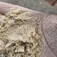 کپک درجه یک (سبوس برنج)دونه دار نرم