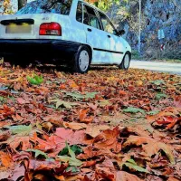 پراید مدل ۸۰|خودرو سواری و وانت|گلبهار, شهر جدید گلبهار|دیوار