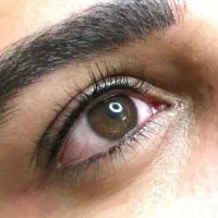 مدل میکروبلدینگ برای تکمیل البوم