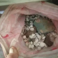 آکواریوم و لوازم