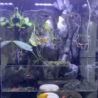 آکواریوم 30در30