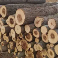 خرید و فروش و چوب بری